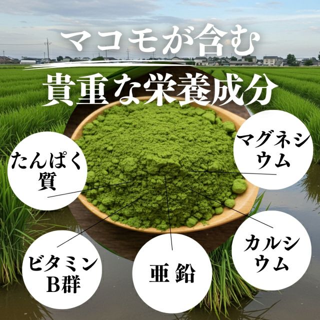 まこも粉末 100g 国産 無農薬 マコモ パウダー 100% 真菰茶 まこも茶