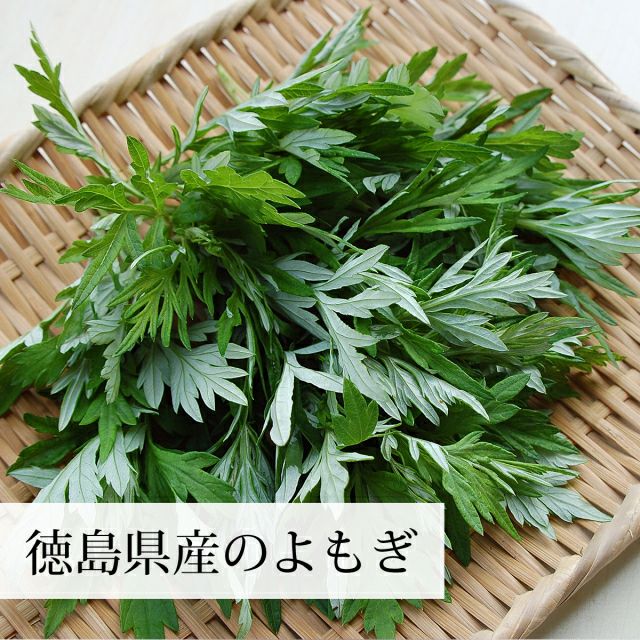 自然健康社 乾燥よもぎ1kg | 健康の樹